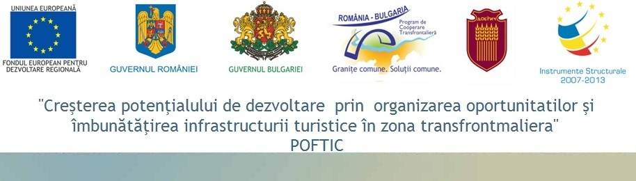 Proiect POFTIC