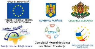 proiecte